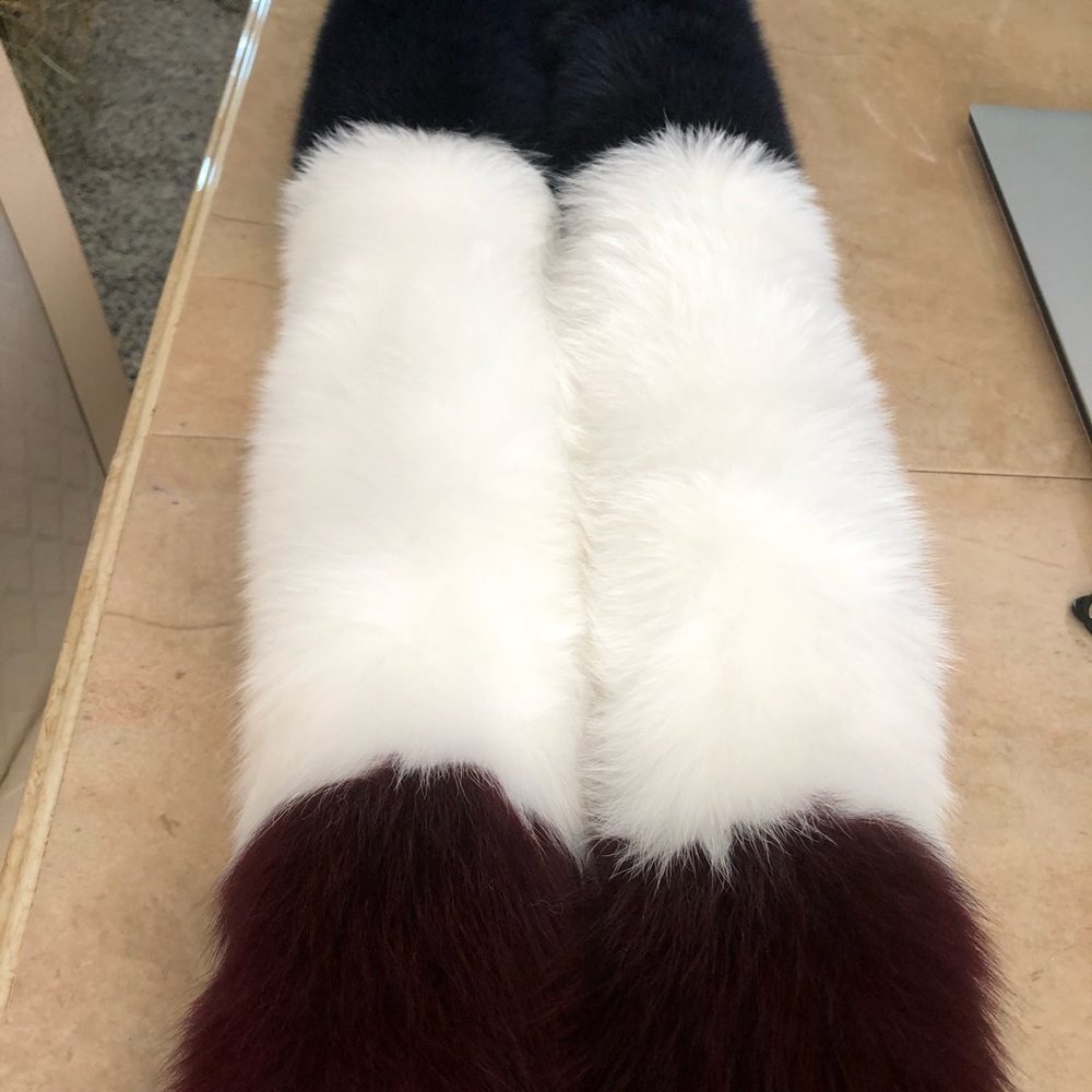 FOX - Picture 4 of 16